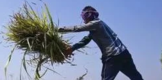 The Great Uttar Pradesh Farm Loan Waiver – Moral Hazard or Necessity?