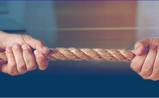 Edelweiss ARC Lands In The Middle Of Whistleblower Allegations, Shareholder Tiff